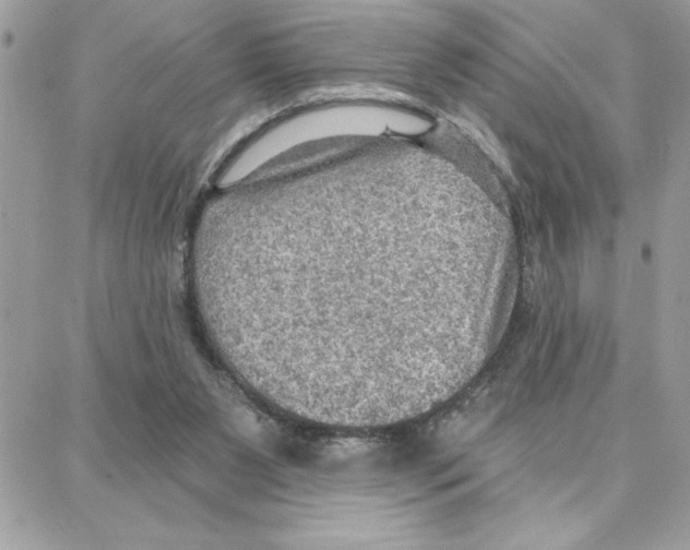 X0000087740111200706041046