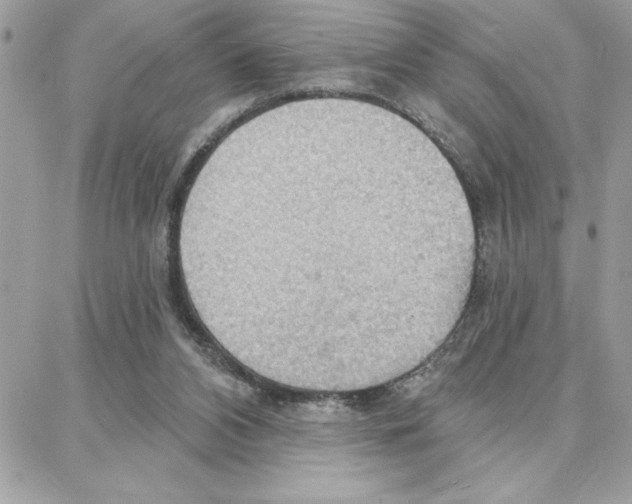 X0000087740112200706041046