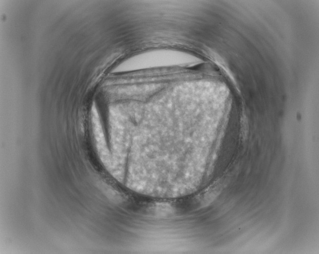 X0000087740114200706041046