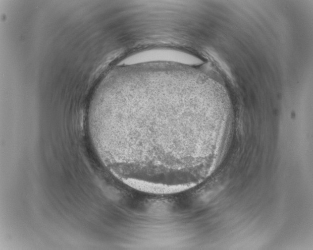 X0000087740115200706041046