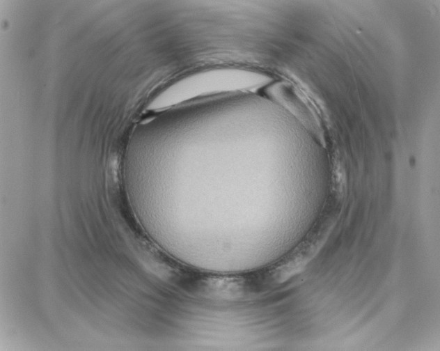 X0000087740117200706041046