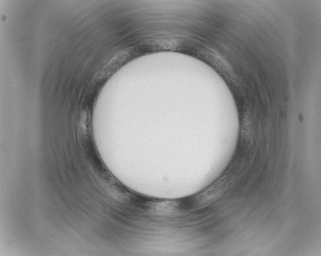 X0000087740122200706041046