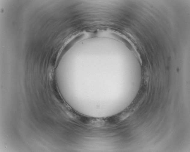 X0000087740125200706041046