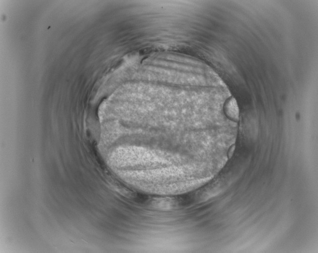 X0000087740127200706041046