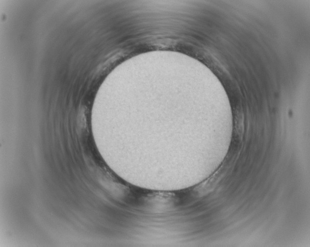 X0000087740128200706041046