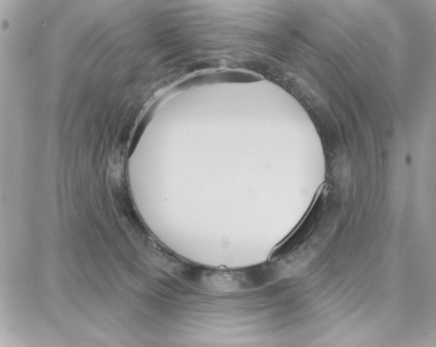 X0000087740129200706041046