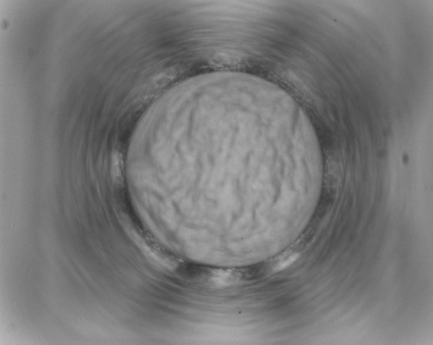 X0000087740130200706041046