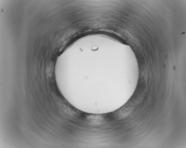 X0000087740133200706041046