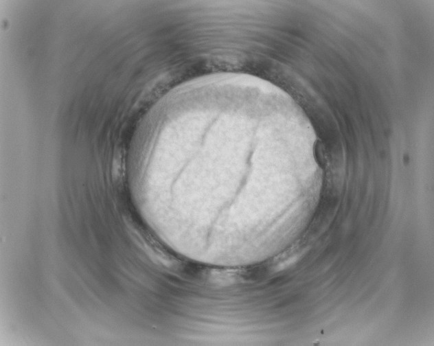 X0000087740134200706041046