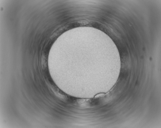 X0000087740136200706041046