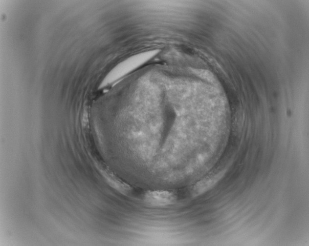 X0000087740137200706041046