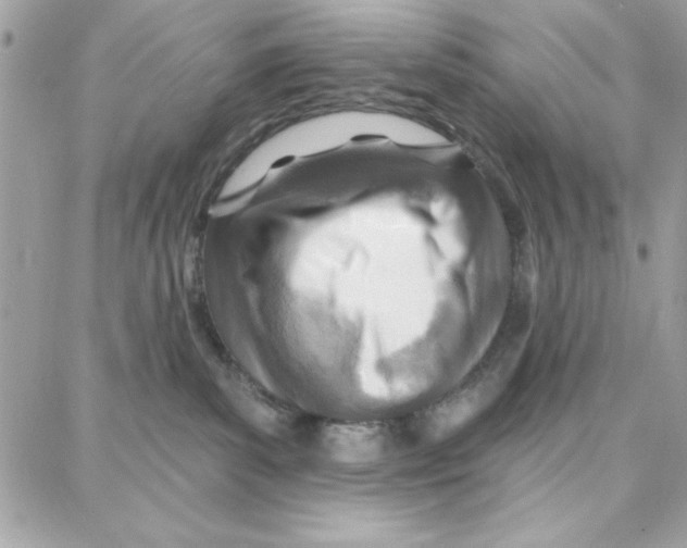 X0000087740139200706041046