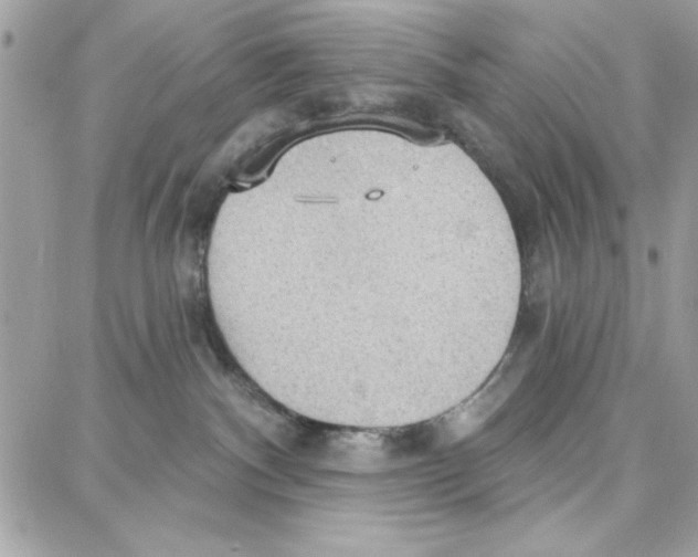 X0000087740140200706041046