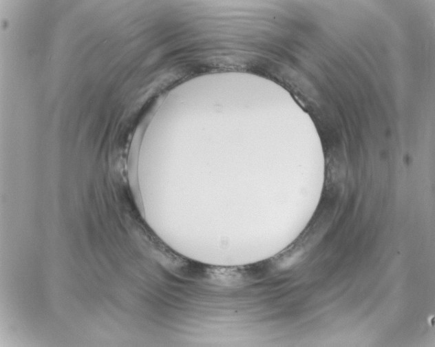 X0000087740141200706041046