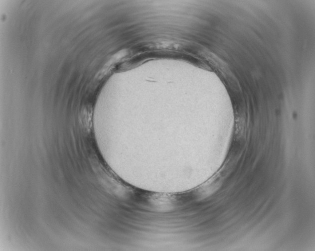 X0000087740142200706041046