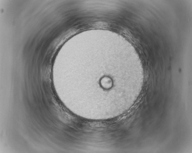 X0000087740146200706041045