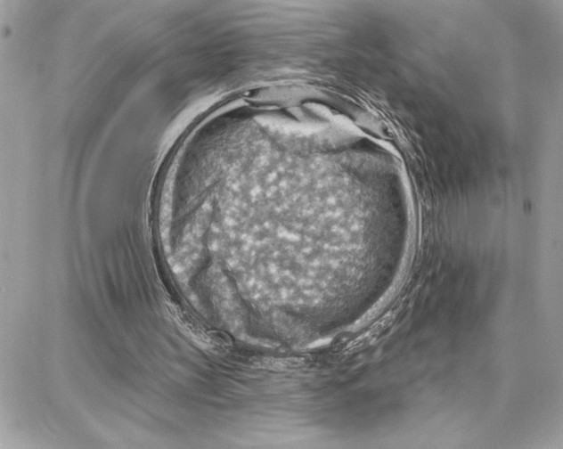 X0000087740147200706041045