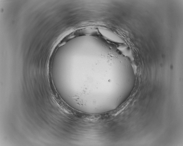 X0000087740148200706041045