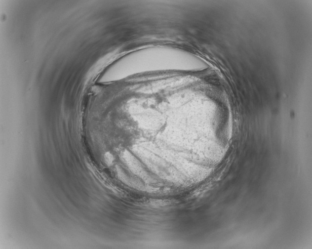 X0000087740149200706041045