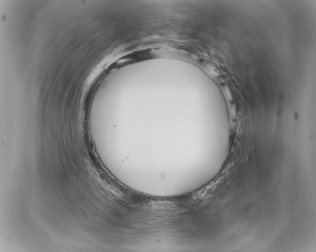 X0000087740150200706041045