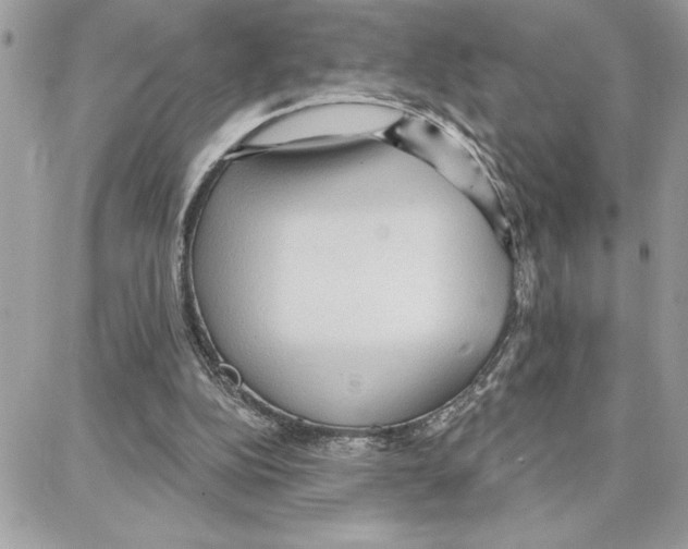 X0000087740152200706041045