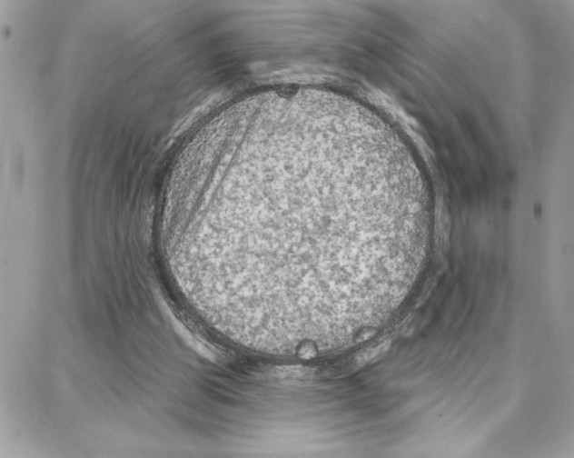 X0000087740153200706041045