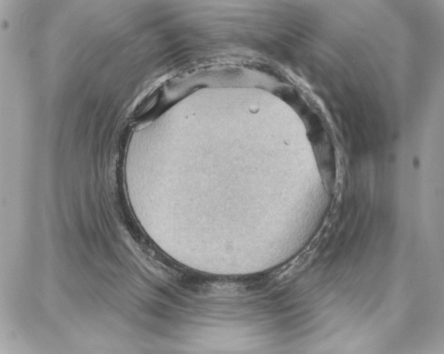 X0000087740154200706041045