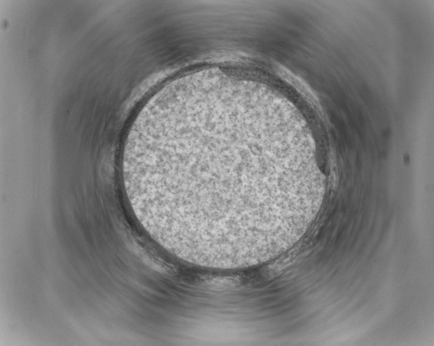 X0000087740155200706041045