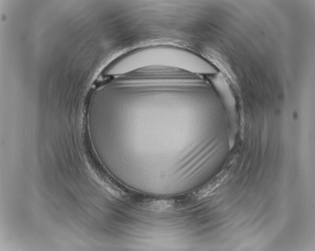 X0000087740156200706041045