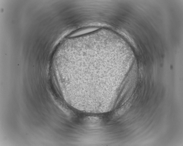 X0000087740159200706041045