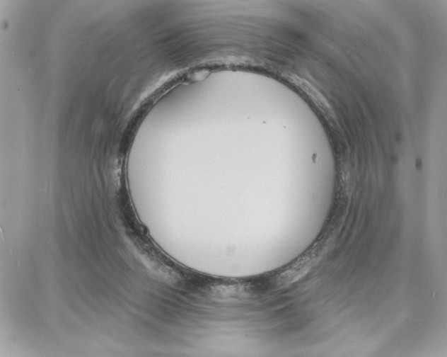 X0000087740160200706041045