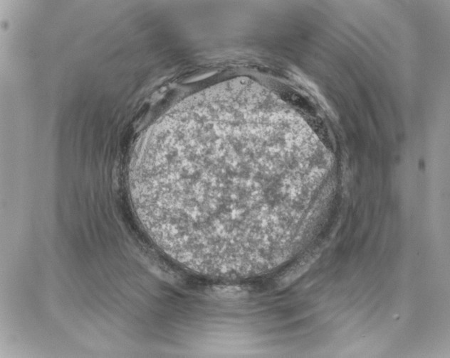 X0000087740161200706041045