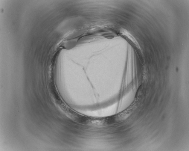 X0000087740163200706041045