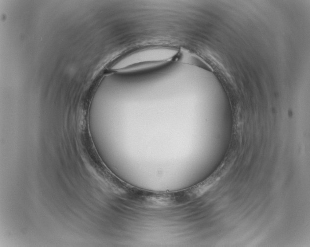 X0000087740164200706041045