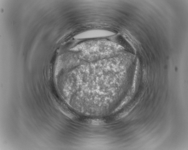 X0000087740165200706041045