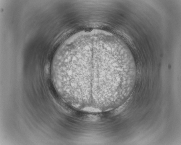 X0000087740166200706041045