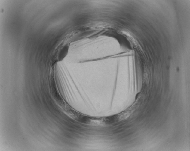 X0000087740167200706041045