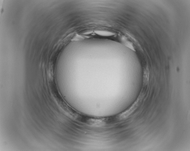 X0000087740170200706041045