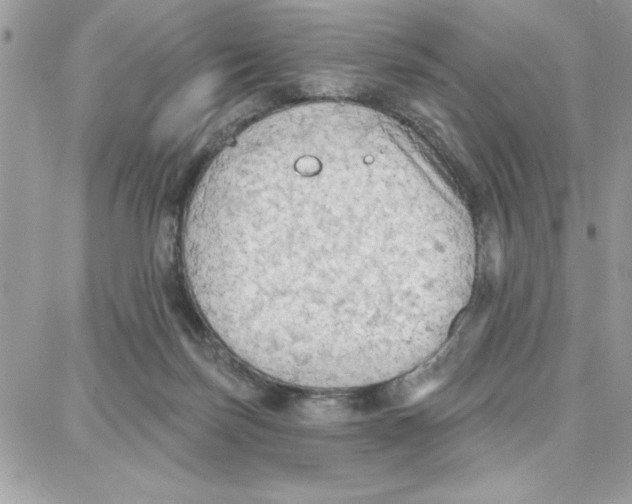 X0000087740171200706041045