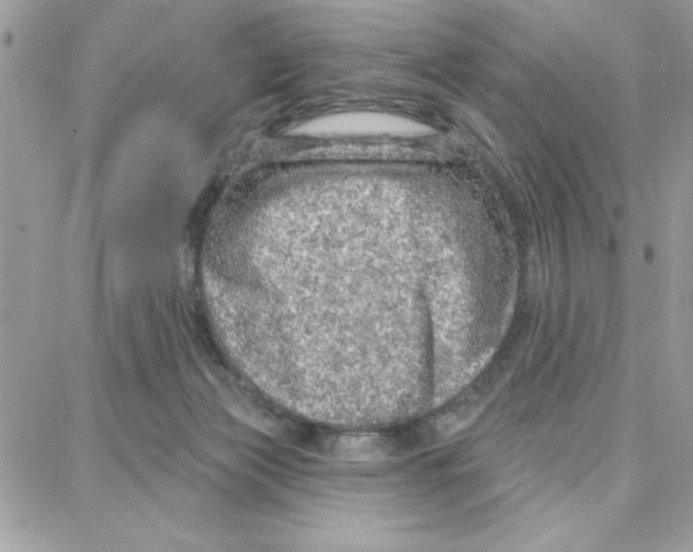 X0000087740173200706041046