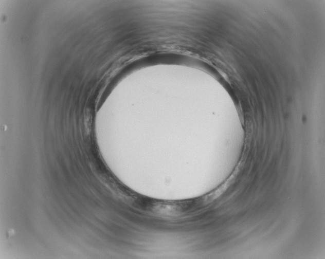 X0000087740174200706041046