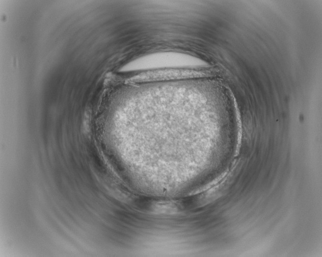 X0000087740175200706041046