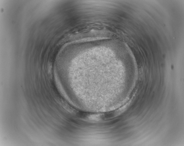 X0000087740178200706041046