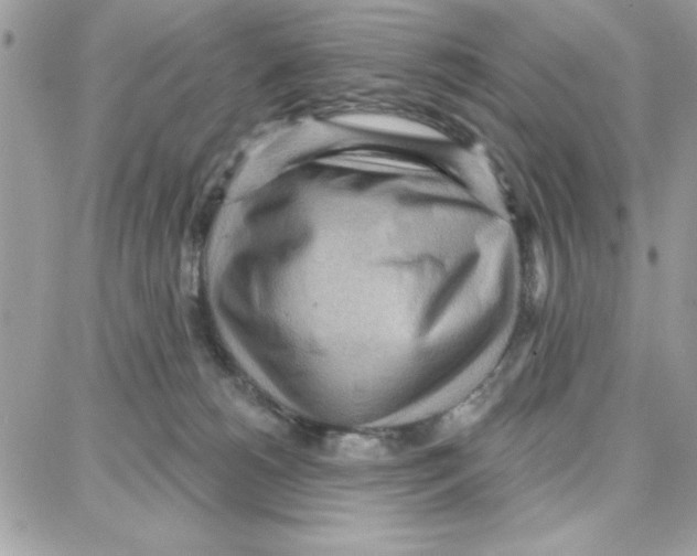 X0000087740180200706041046