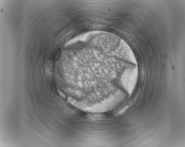 X0000087740181200706041046