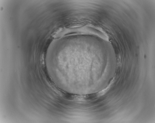 X0000087740182200706041046