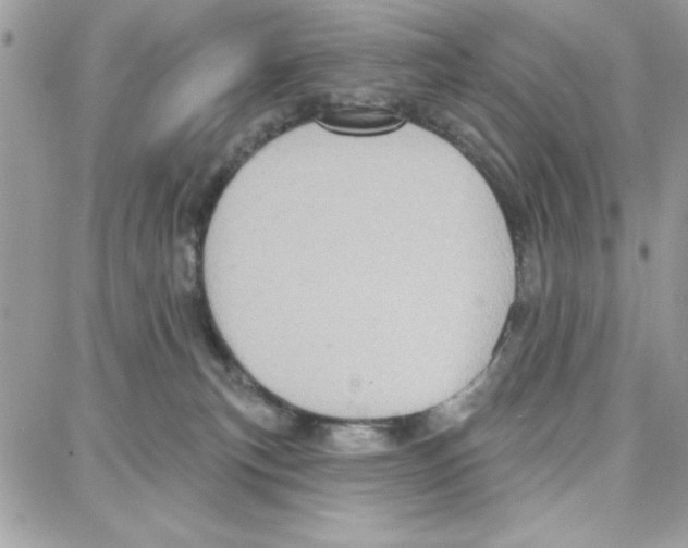 X0000087740183200706041046