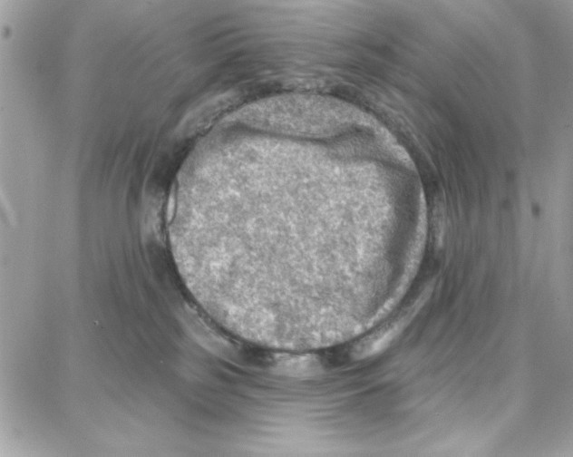 X0000087740185200706041046