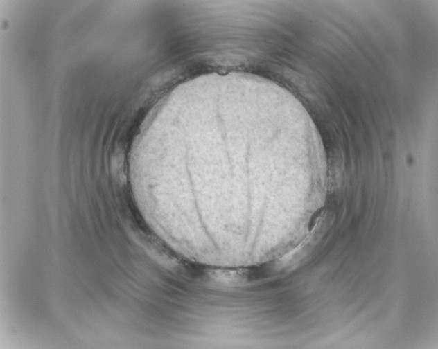 X0000087740187200706041046