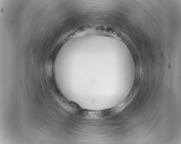 X0000087740188200706041046